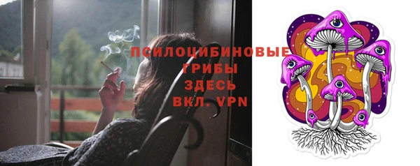 первитин Алексин